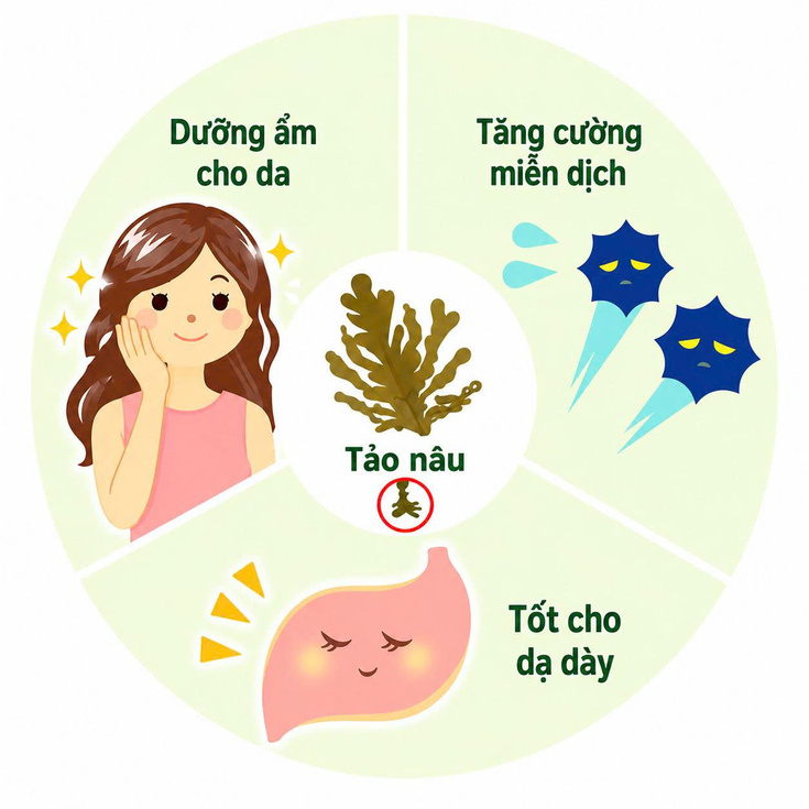 Oreview-top-4-fucoidan-nhat-ban-13.jpg
